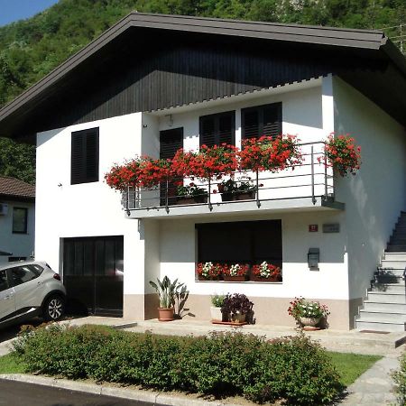 Apartma Jezero Most na Soči Kültér fotó